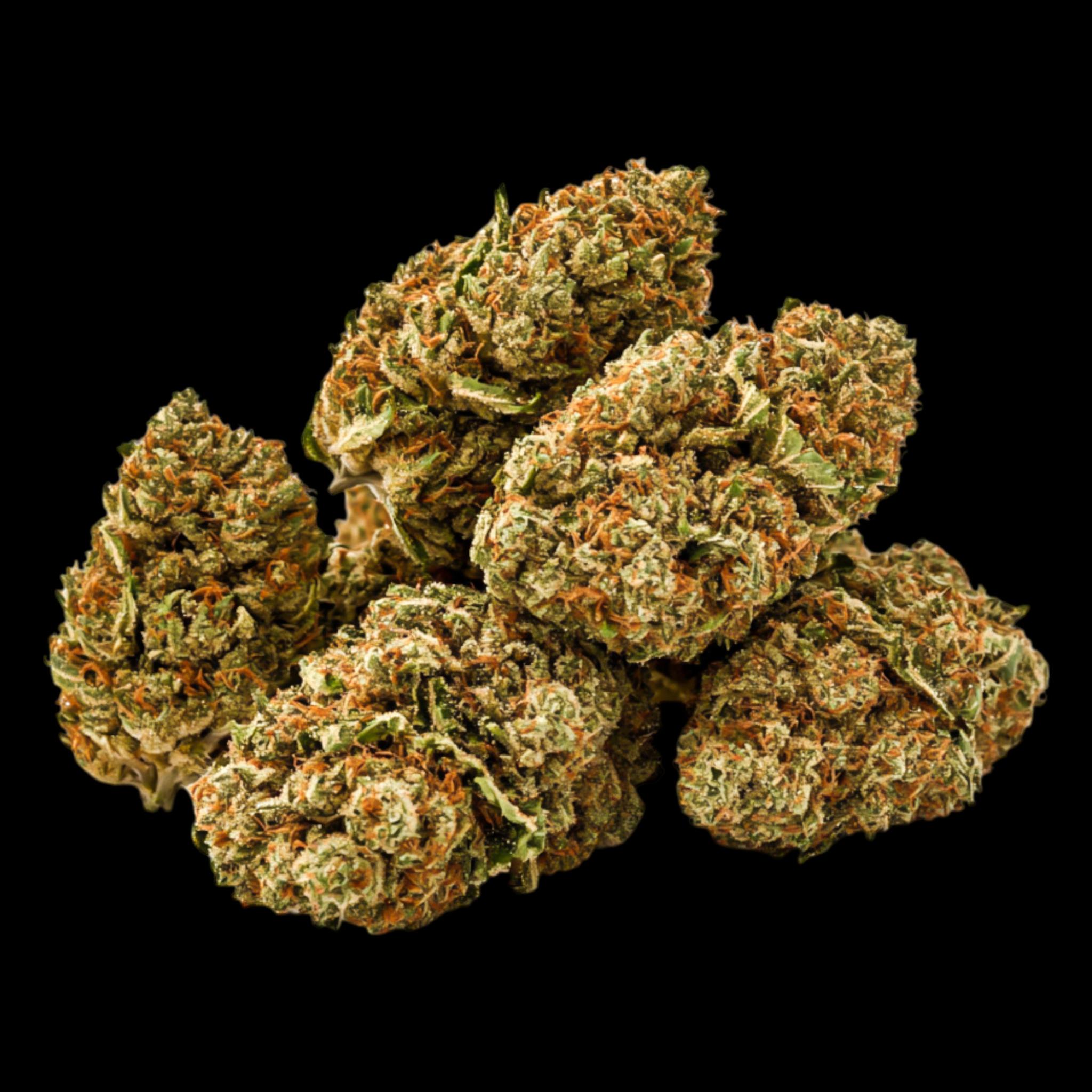 Premium Leaf | Seven Leaf Smoke Shop | Halifax, NS